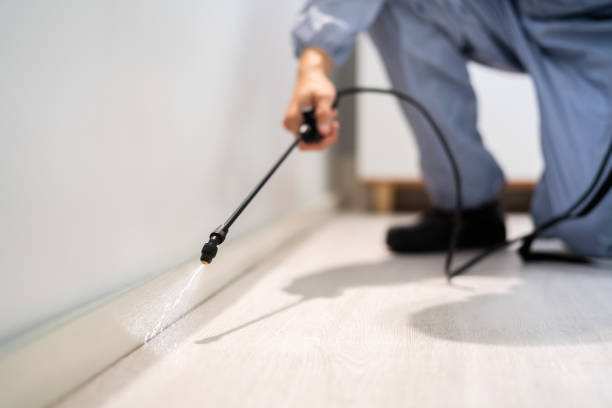 Certified termite inspector examining foundation in Bentonville