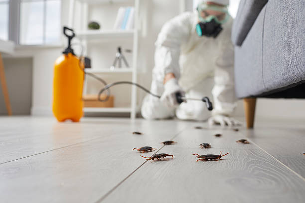 Commercial Kitchen Cockroach Control in Bentonville